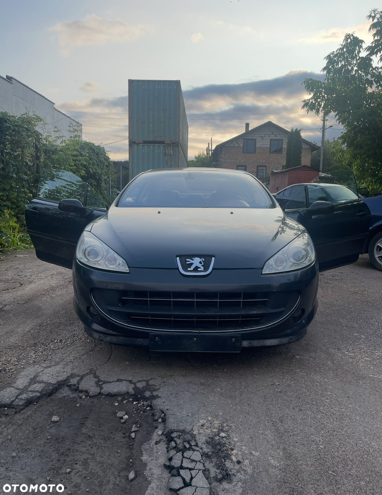 Peugeot 407 - 1
