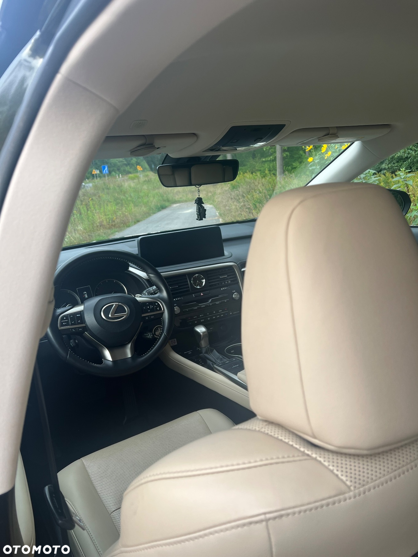 Lexus RX 300 Business Edition + - 10