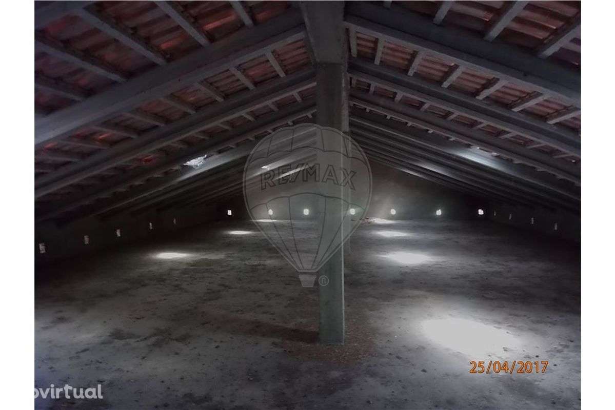 TERRENO - VENDA CARVIDE - Grande imagem: 5/13