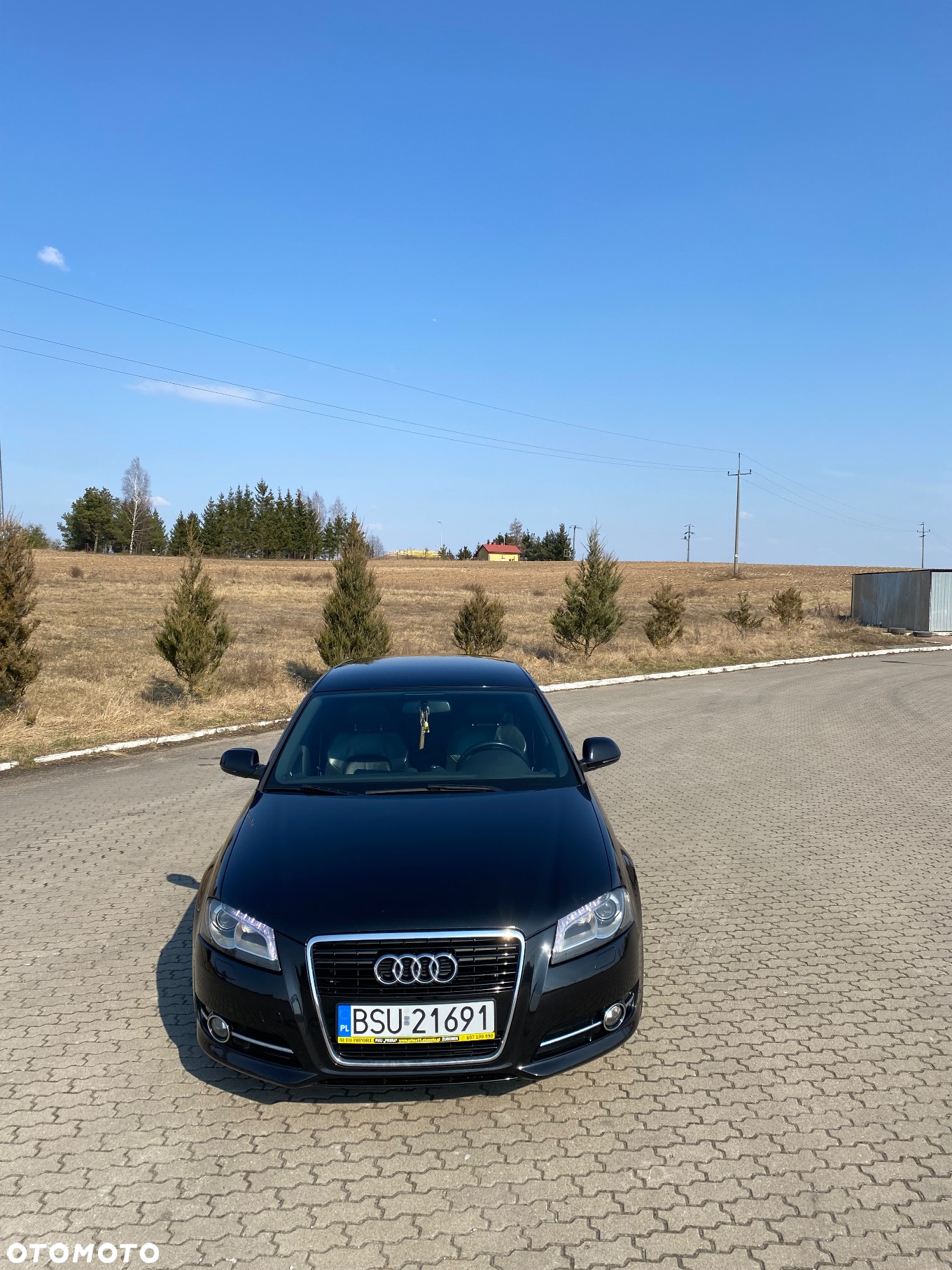 Audi A3 1.6 TDI DPF Ambiente - 3
