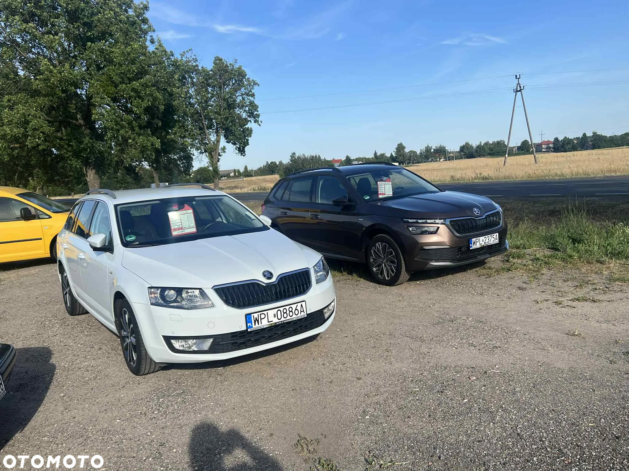 Skoda Kamiq 1.0 TSI Ambition - 25