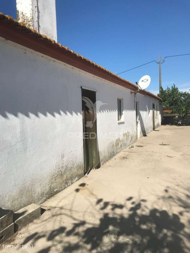 Quinta Agrícola em Produção Contínua com 8,25 Hectares e Habitação... - Grande imagem: 5/27