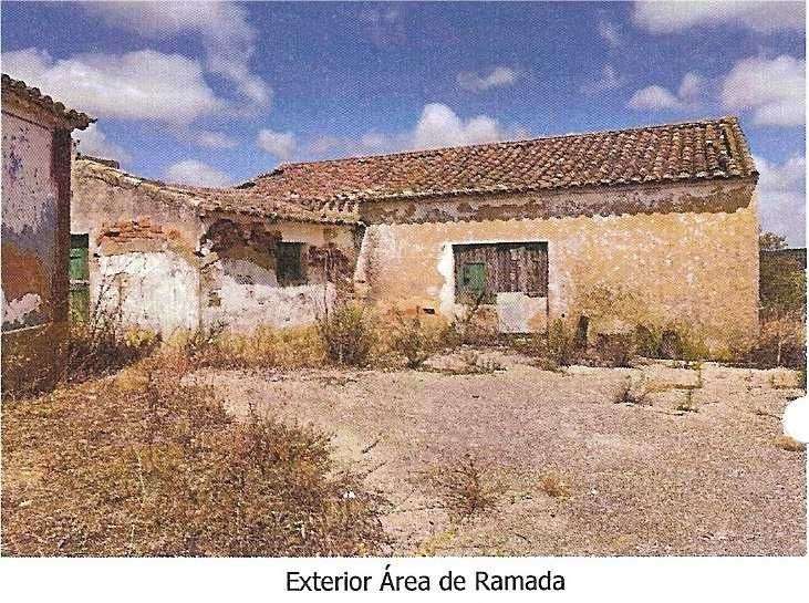 Moradia Rústica com Terreno Amplíssimo – Cotifo, Lagos/ Barão S. João - Grande imagem: 3/6
