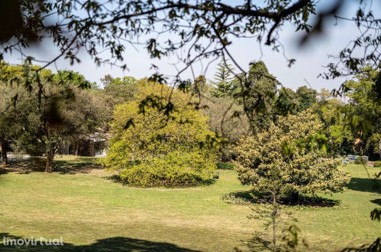 Apartamento T2 para Arrendamento na Quinta de Cravel, Gaia - Grande imagem: 2/24