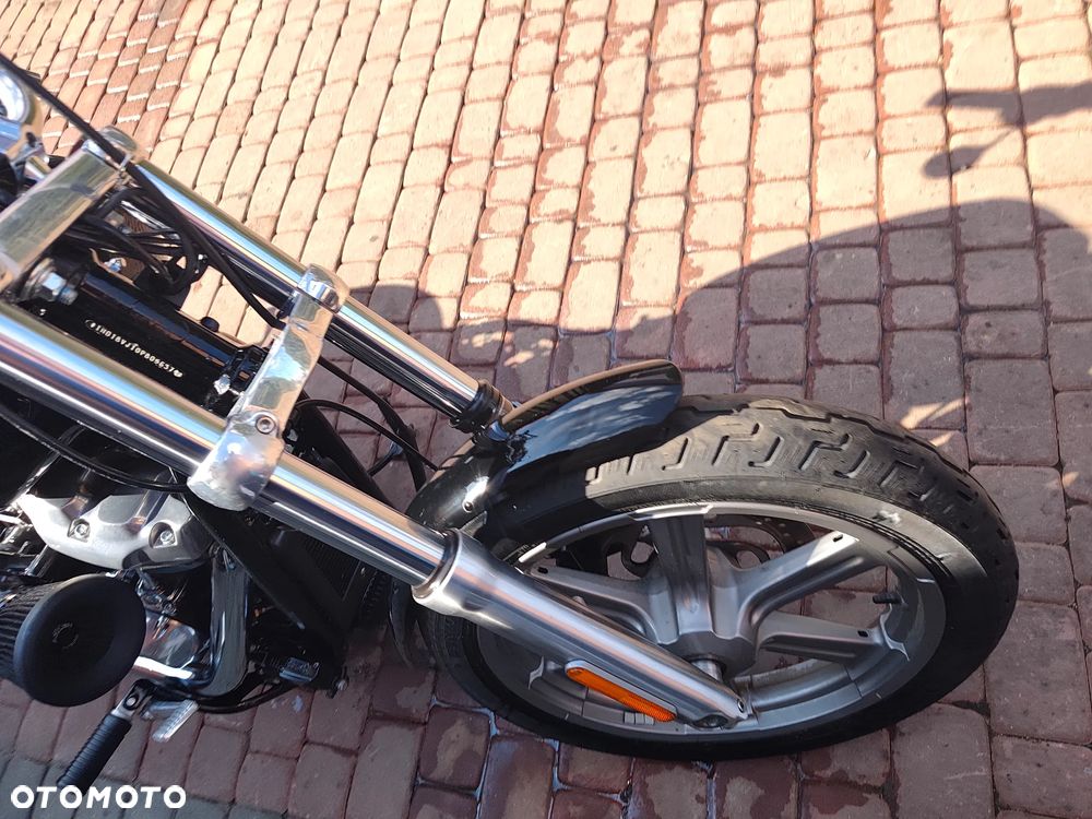 Harley-Davidson Softail Standard - 7