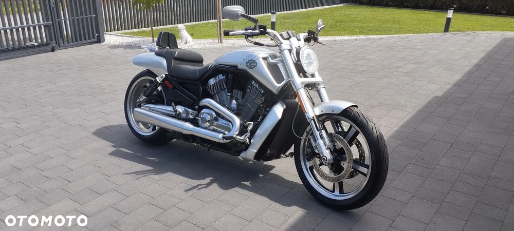 Harley-Davidson V-Rod Muscle - 5