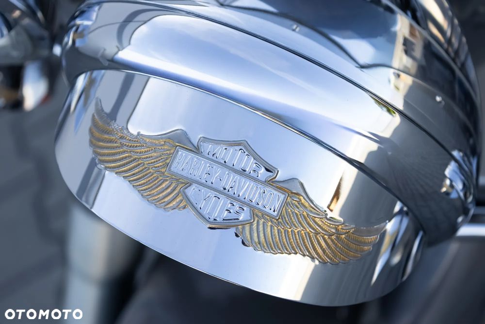 Harley-Davidson Softail Heritage Classic - 12