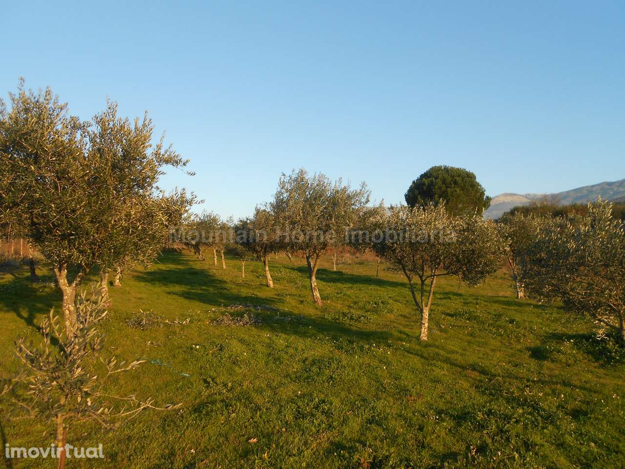 Terreno Rústico  Venda em Paços da Serra,Gouveia - Grande imagem: 5/8