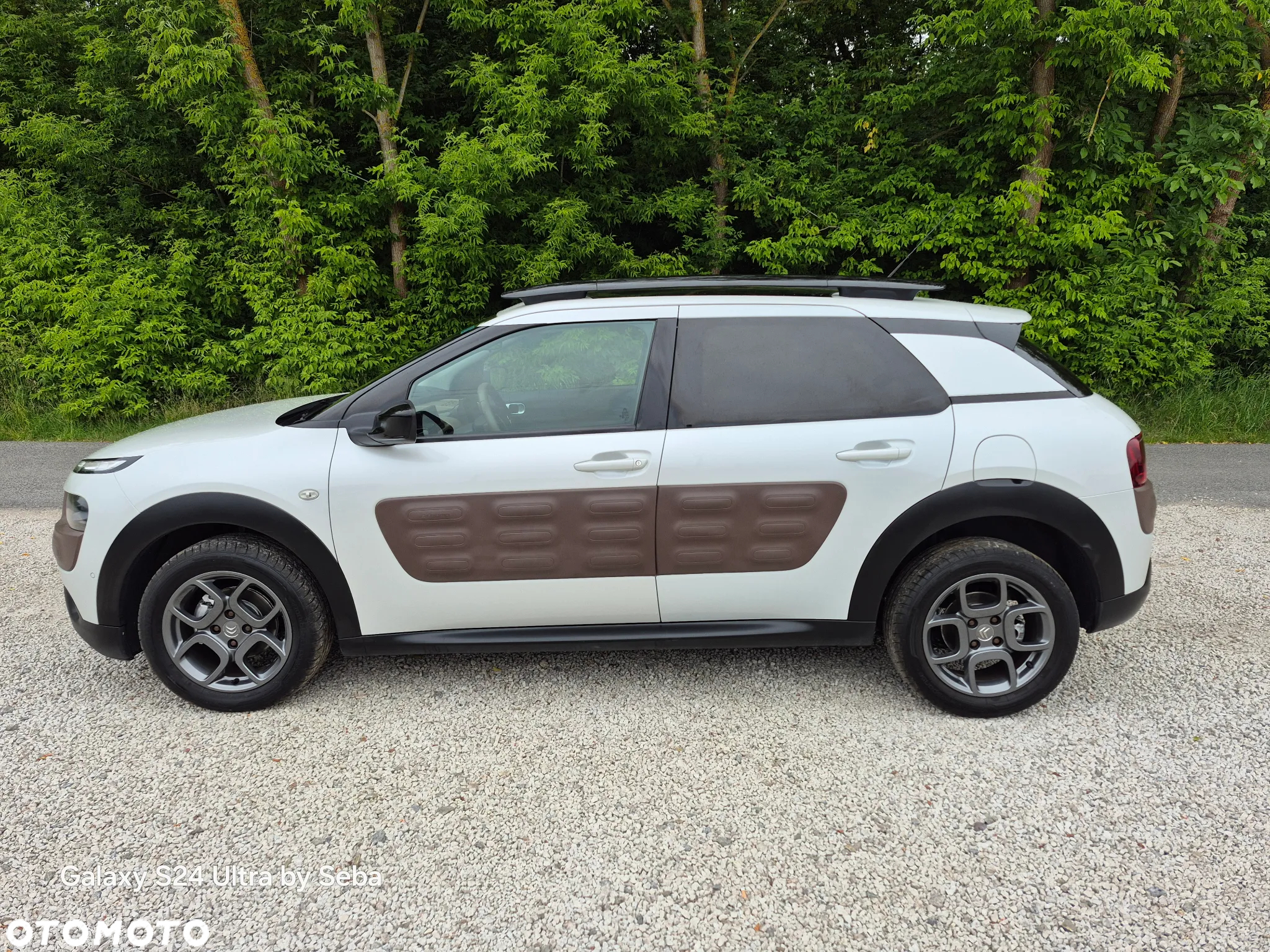 Citroën C4 Cactus 1.6 BlueHDi Shine - 8