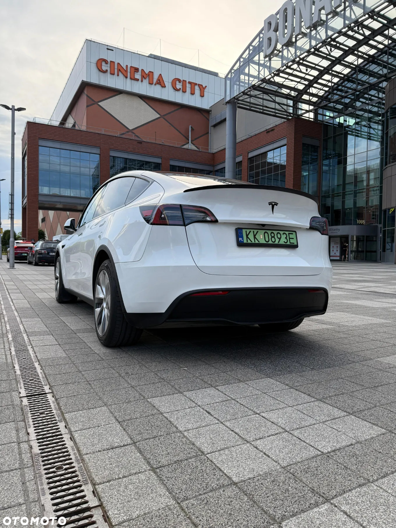 Tesla Y RWD - 2