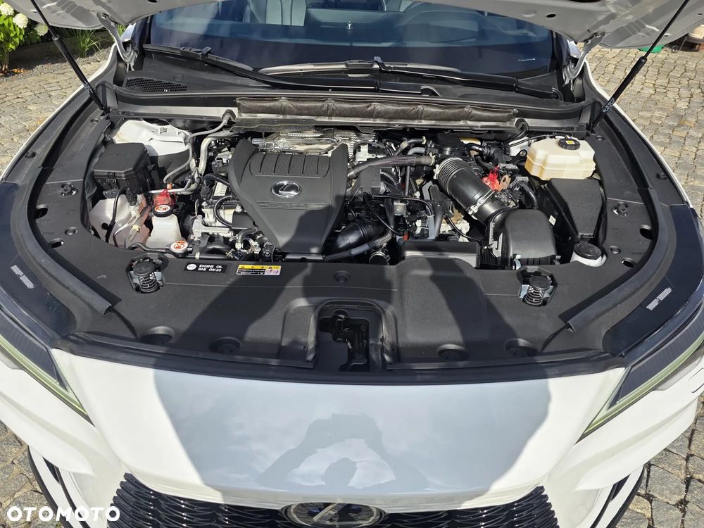Lexus RX 500h F Sport Edition - 32