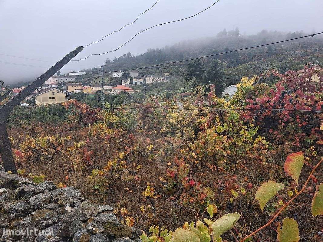 Terreno  para venda - Grande imagem: 2/5