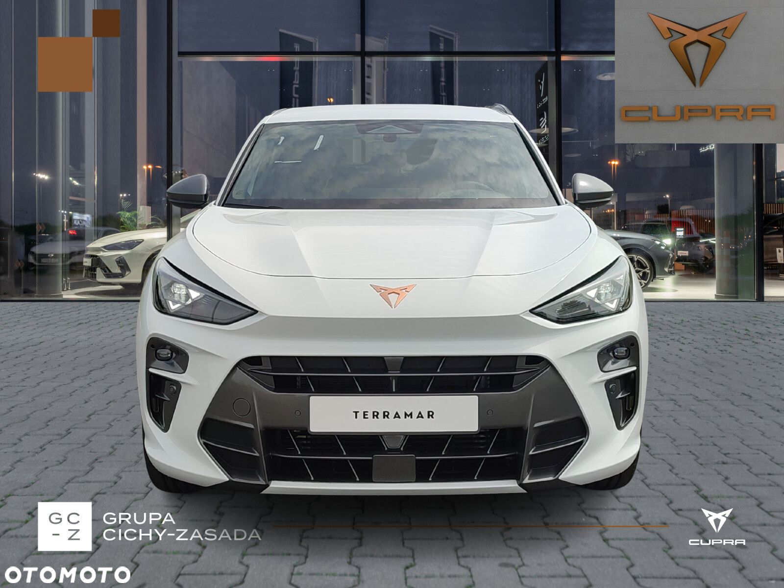 Cupra Terramar - 8
