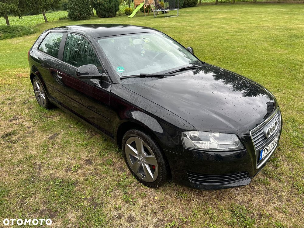 Audi A3 3-drzwiowe 1.6 Ambiente - 3