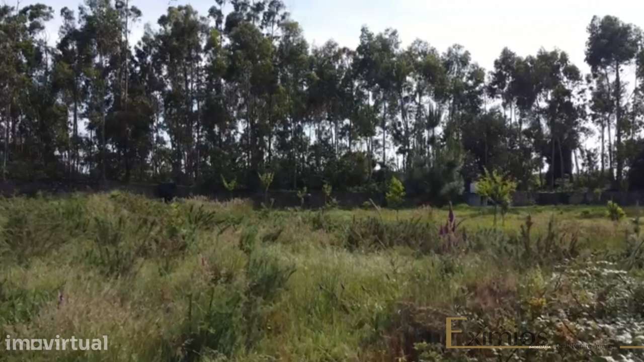 Terreno de 722m2, para construção, em Beiriz - Grande imagem: 2/5