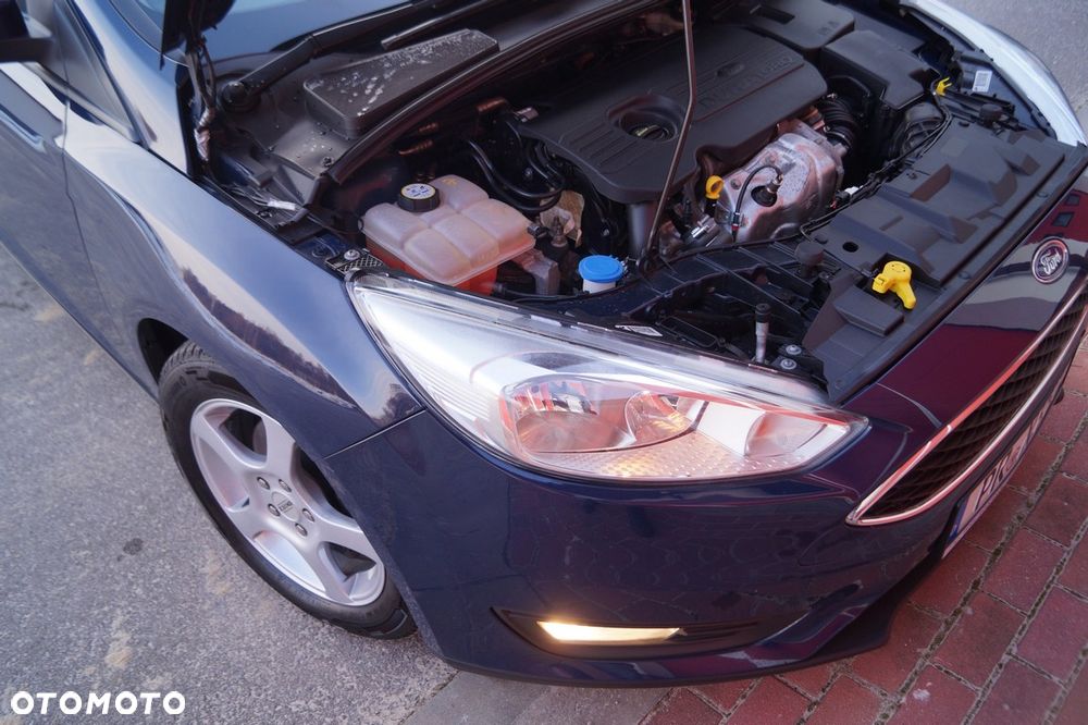 Ford Focus - 36