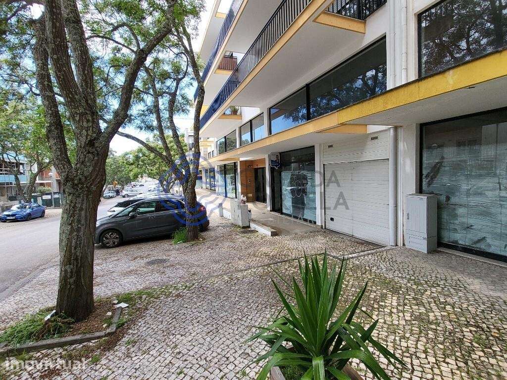 Espaço Comercial 171,8 m2 + Box 20m2 c/ Potencial para Loft em Viseu - Grande imagem: 4/12