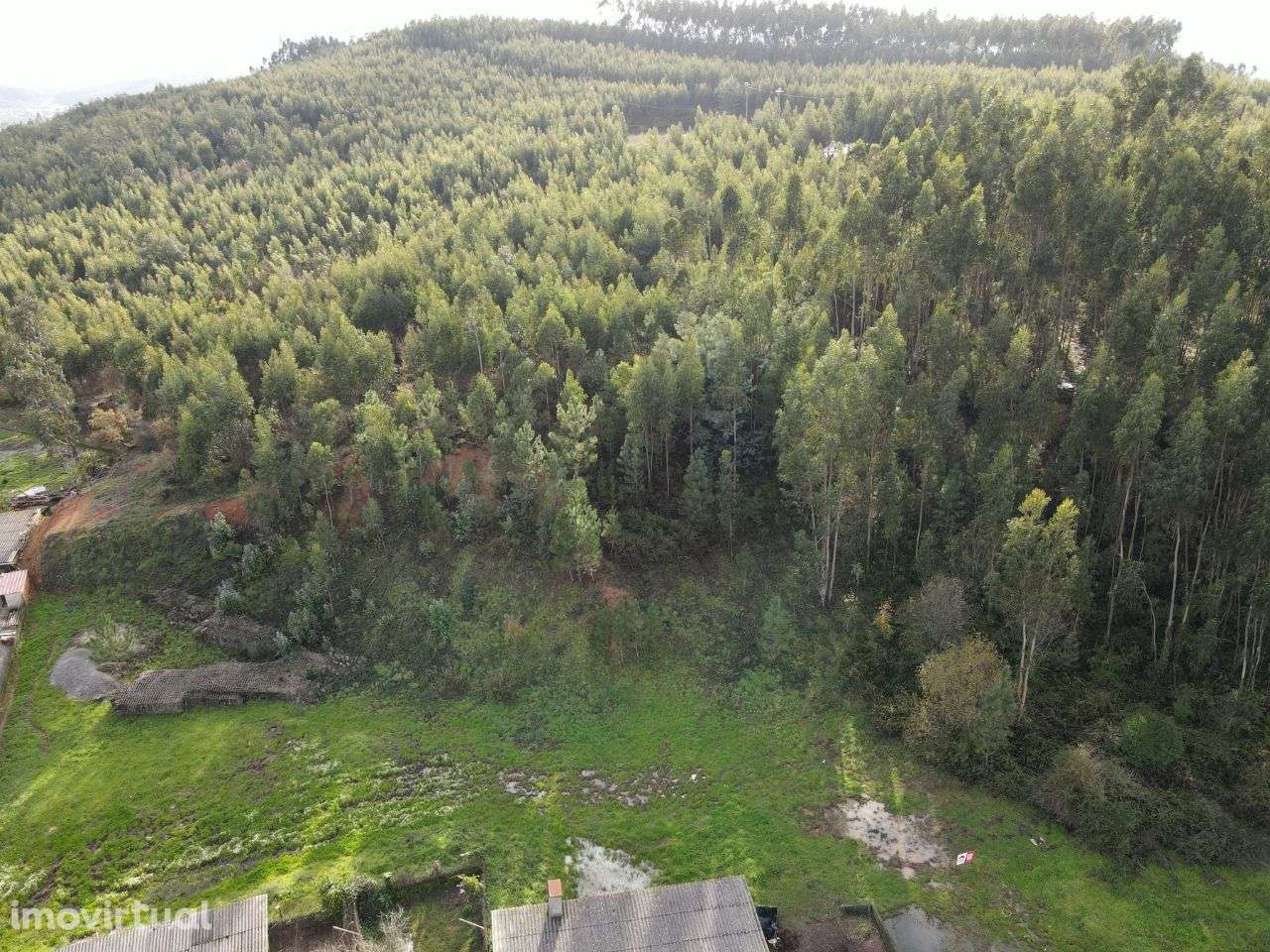 Lote para construção, Cabaços - Grande imagem: 2/3