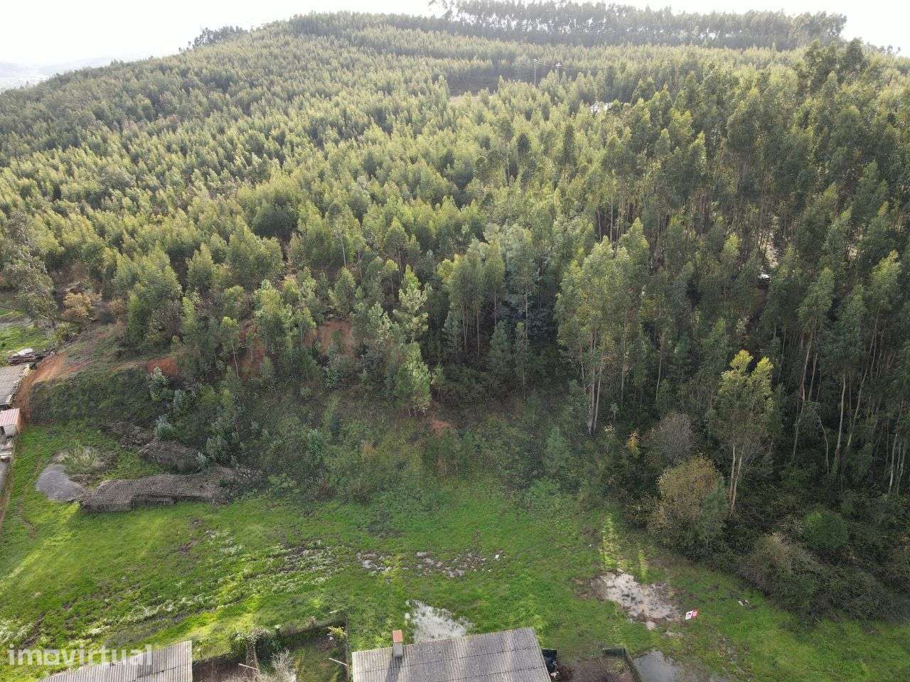 Lote para construção, Cabaços - Grande imagem: 2/3