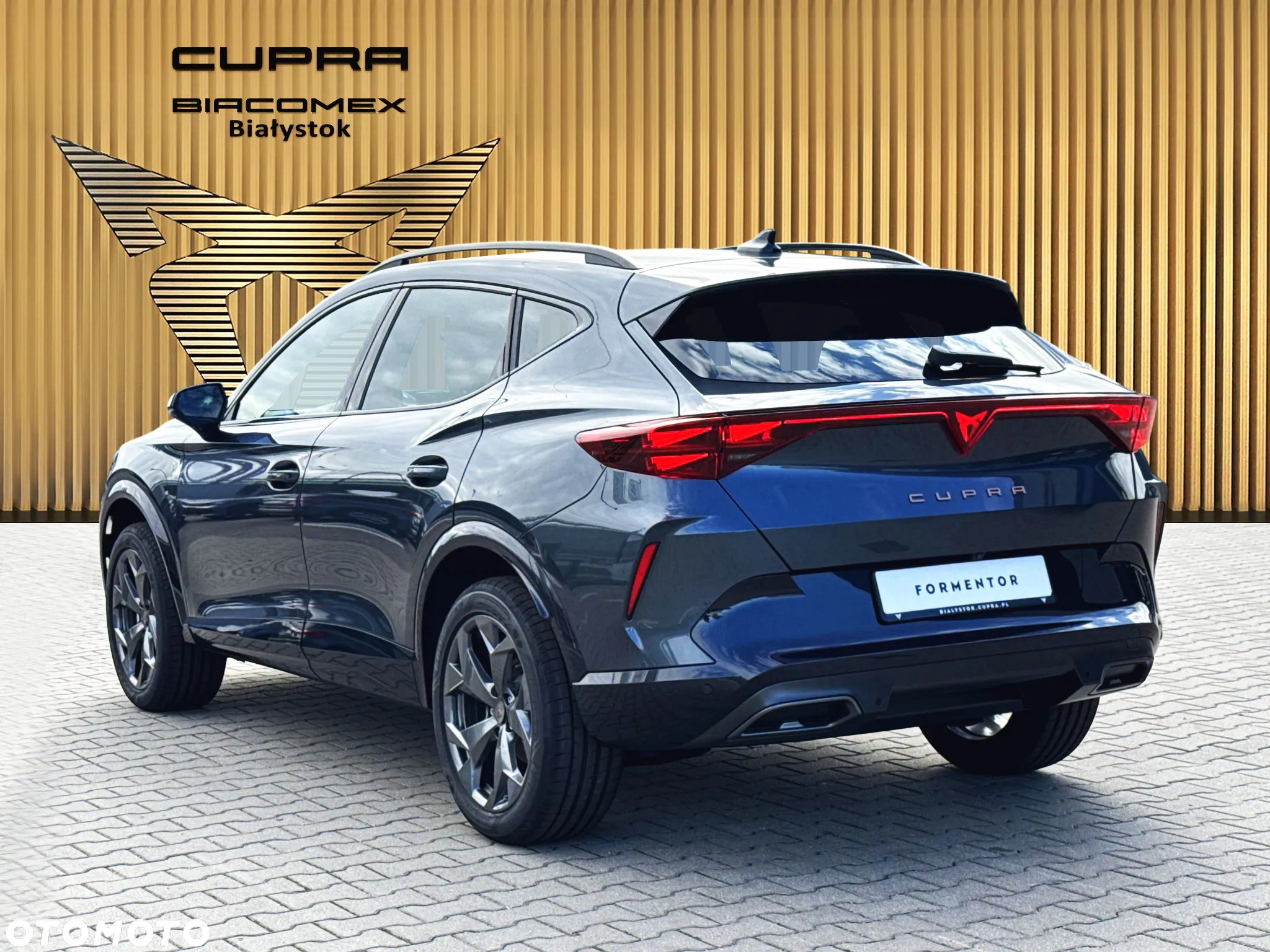 Cupra Formentor 2.0 TSI 4Drive DSG - 4