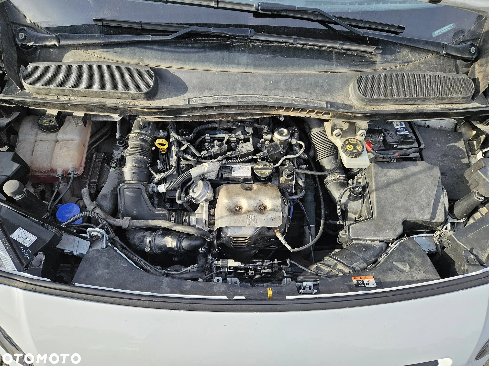 Ford TRANSIT CONNECT - 10