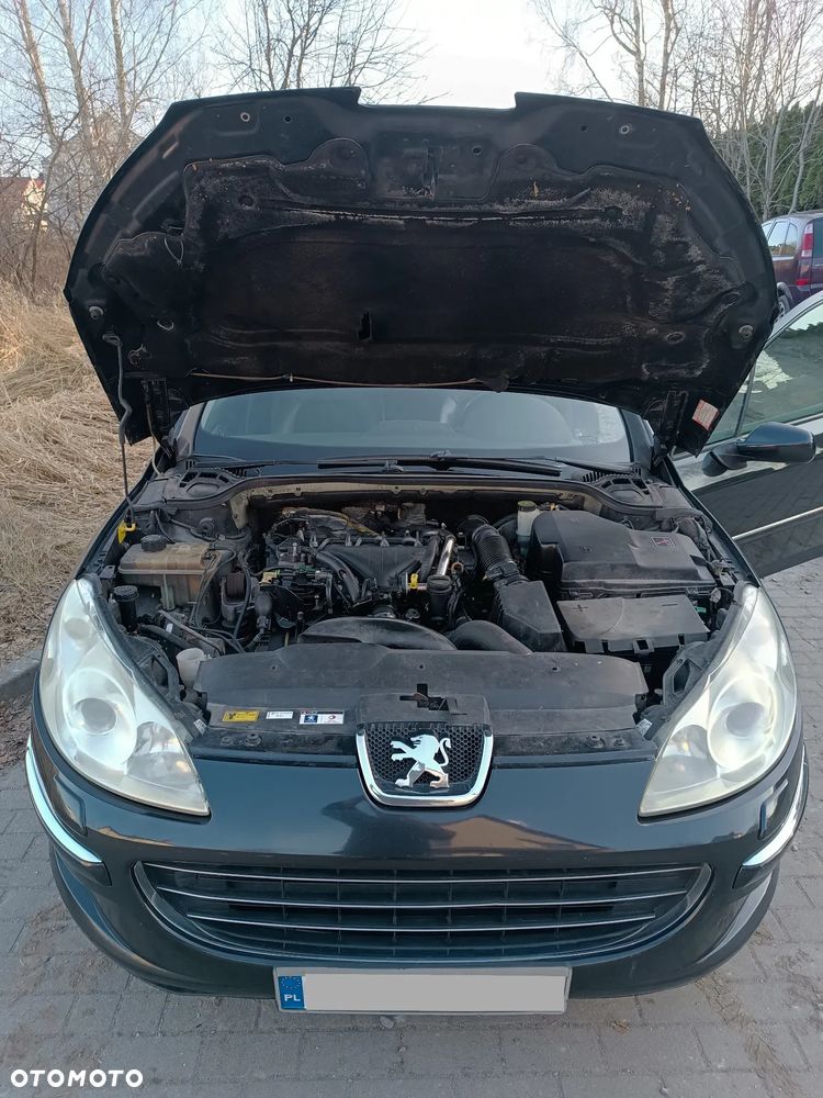 Peugeot 407 - 17