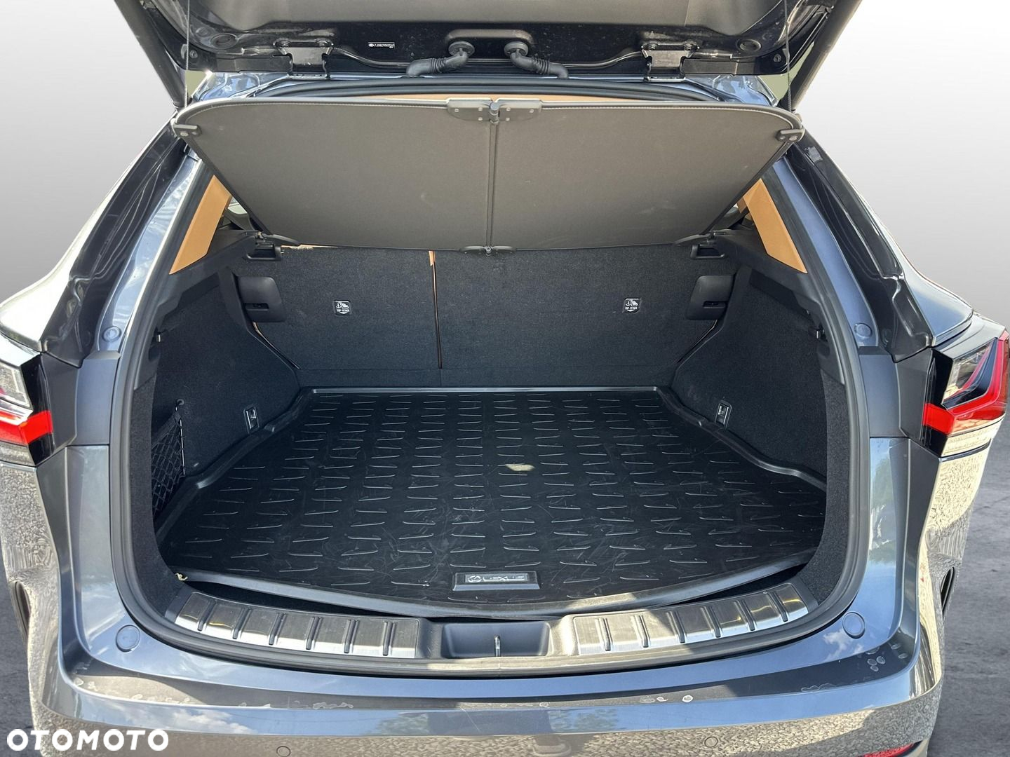 Lexus NX - 22