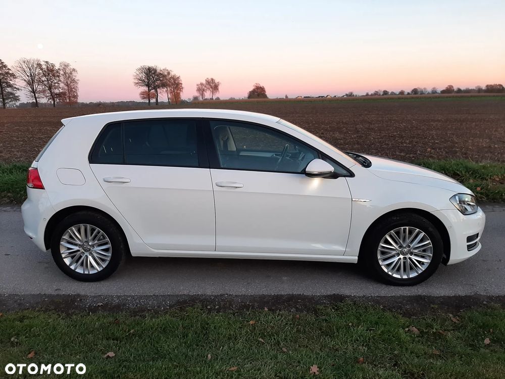 Volkswagen Golf VII 5-Türer Cup - 15