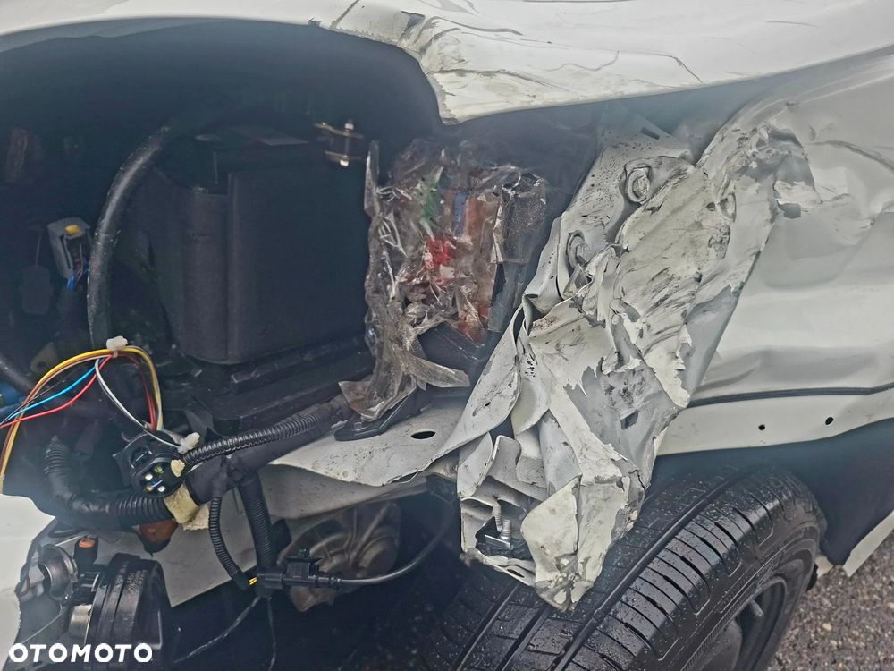 Fiat Panda Pandina 1.0 Hybrid - 10