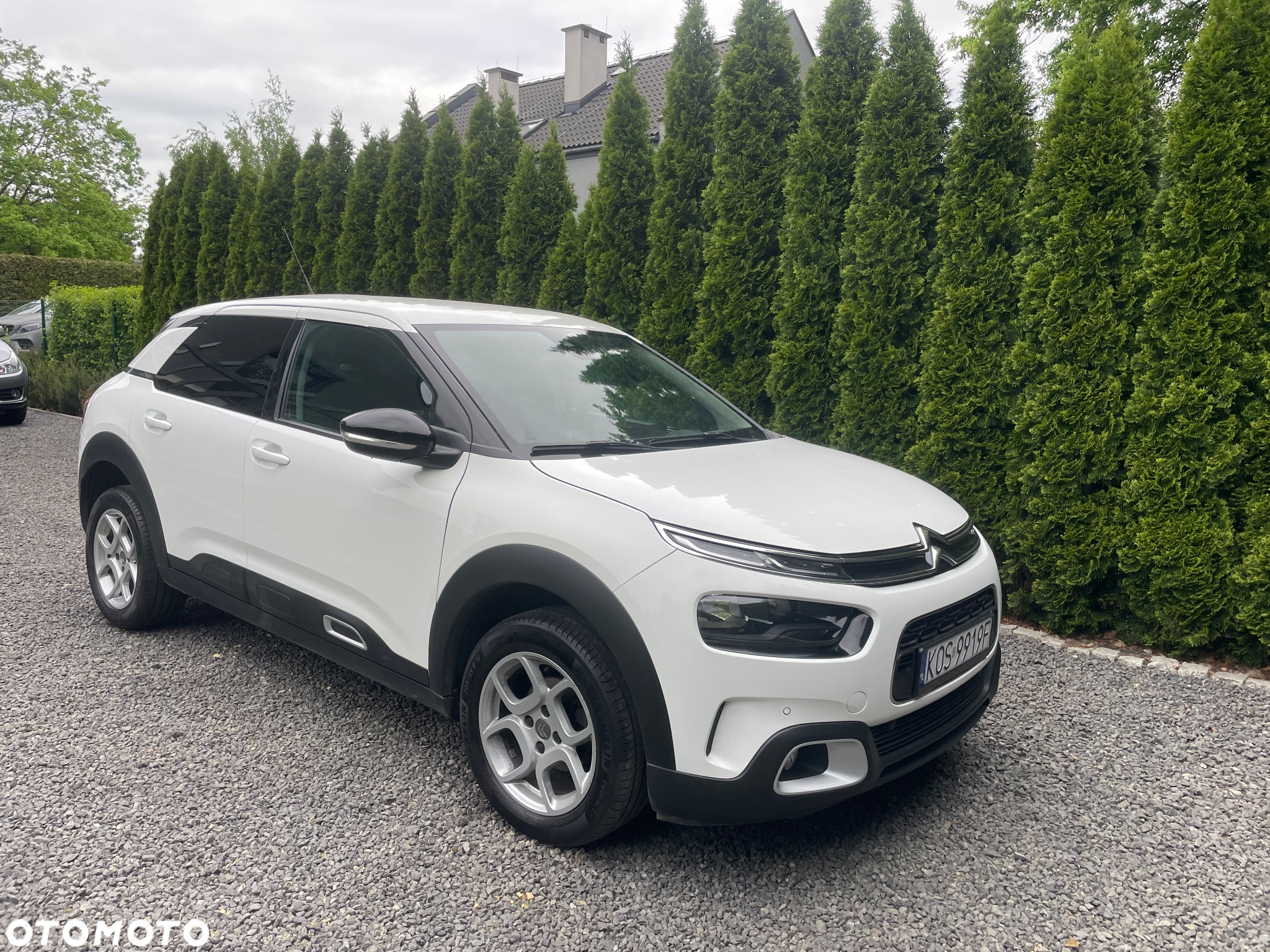 Citroën C4 Cactus 1.2 PureTech GPF Shine S&S - 2