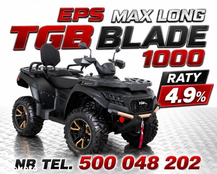 Suzuki Kingquad - 13