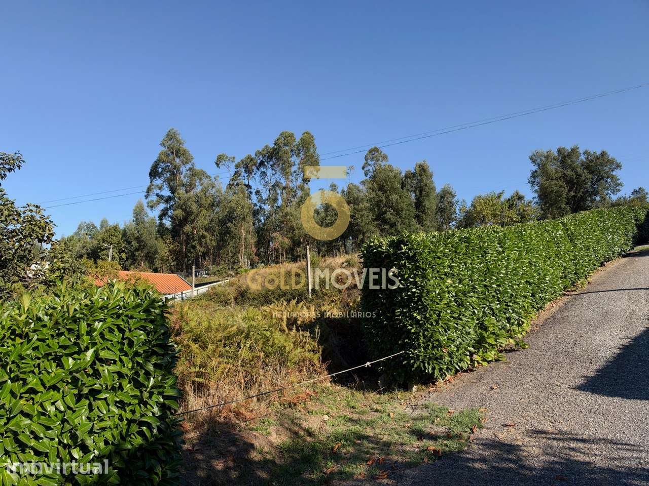 Terreno Para Construção  Venda em Cernadelo e Lousada (São Miguel e Sa - Grande imagem: 2/8