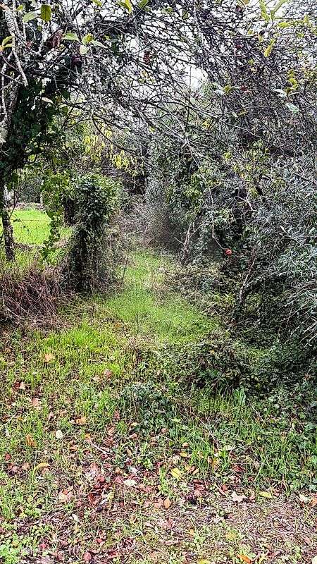 Terreno  para venda - Grande imagem: 4/4