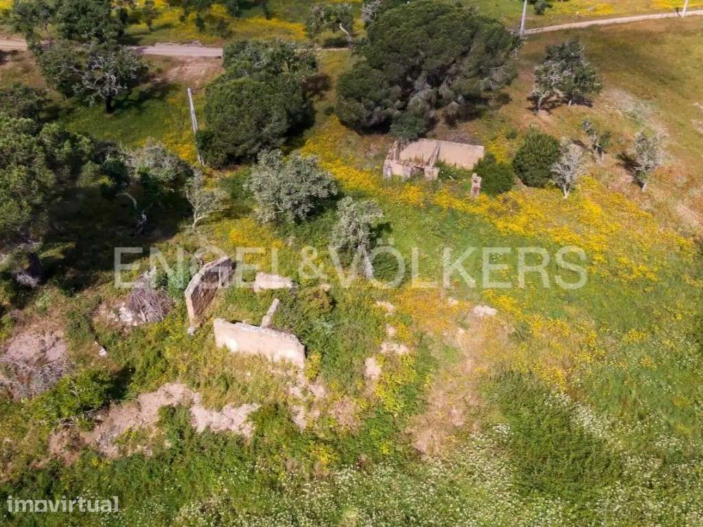 Terreno de 6ha com projecto arquitetura aprovado - Grande imagem: 2/8
