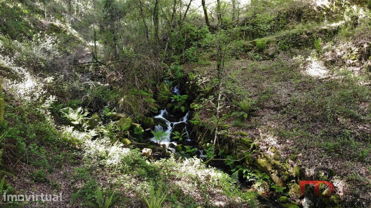 Terreno Rústico  Venda em Rio Douro,Cabeceiras de Basto - Grande imagem: 4/19