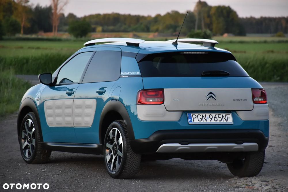 Citroën C4 Cactus BlueHDi 100 Stop&Start Rip Curl - 10