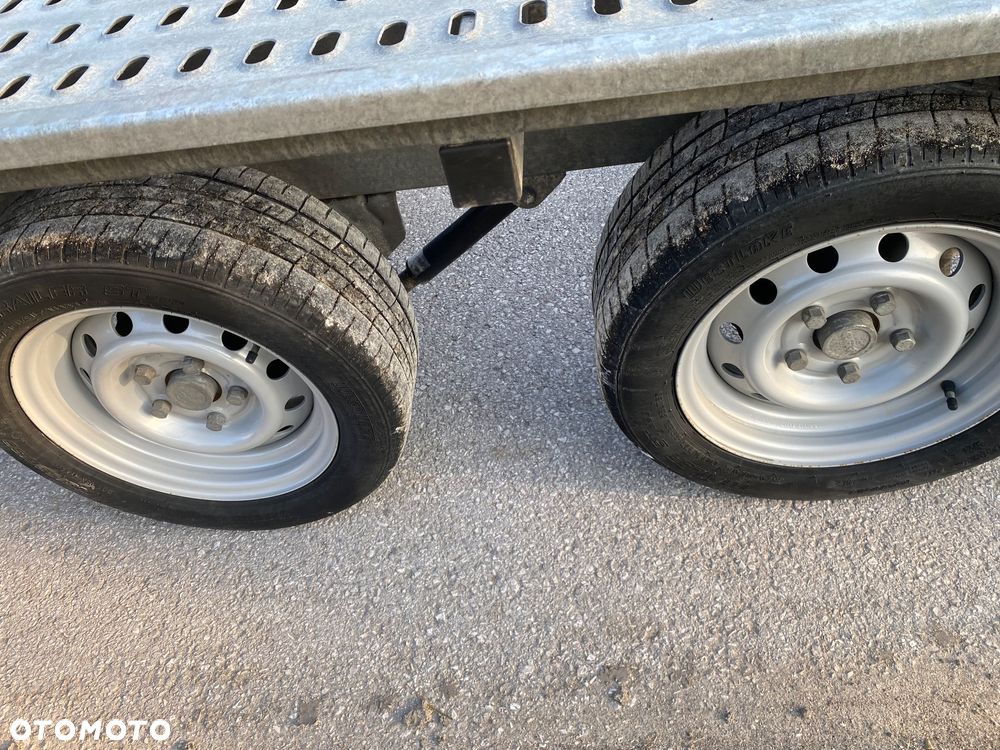 Niewiadów Jupiter - 10