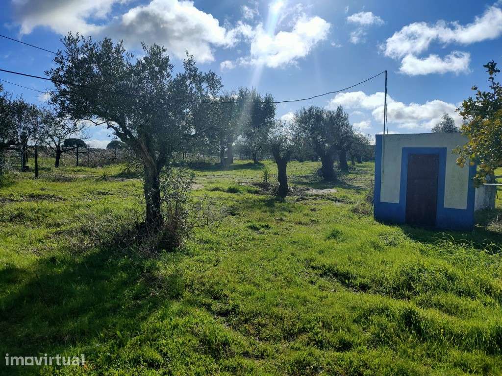 Monte com moradia para renovar em Grândola - Grande imagem: 2/11