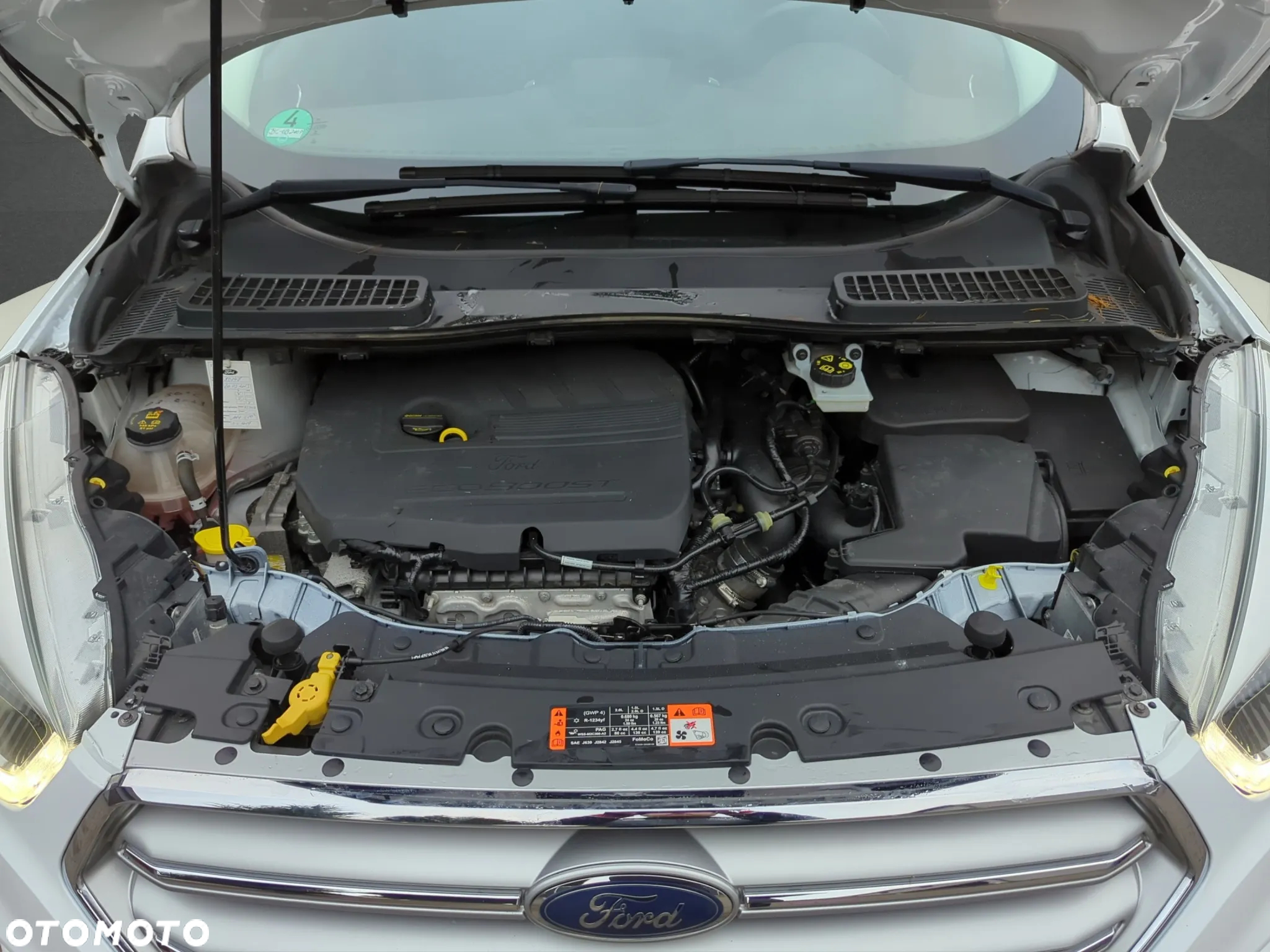 Ford Kuga 1.5 EcoBoost FWD Titanium ASS - 19