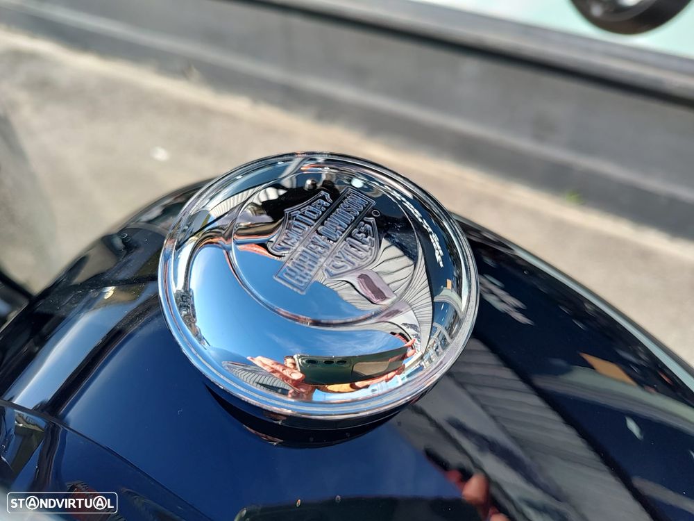 Harley-Davidson Fat Boy 114 - 5