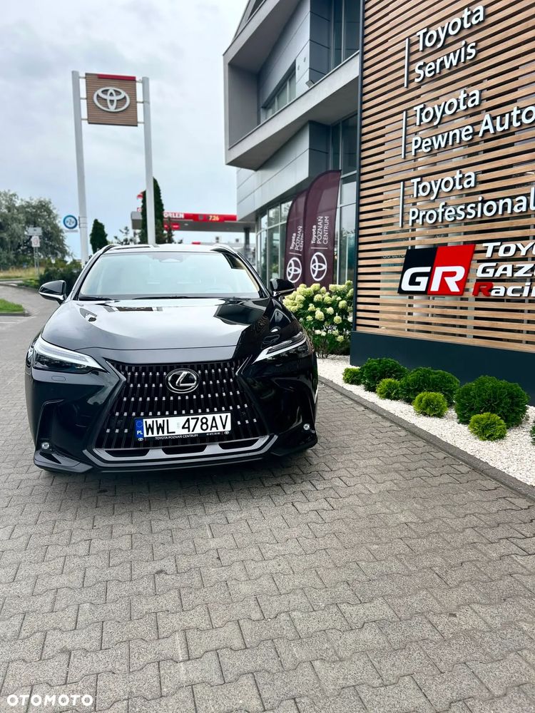 Lexus NX - 11