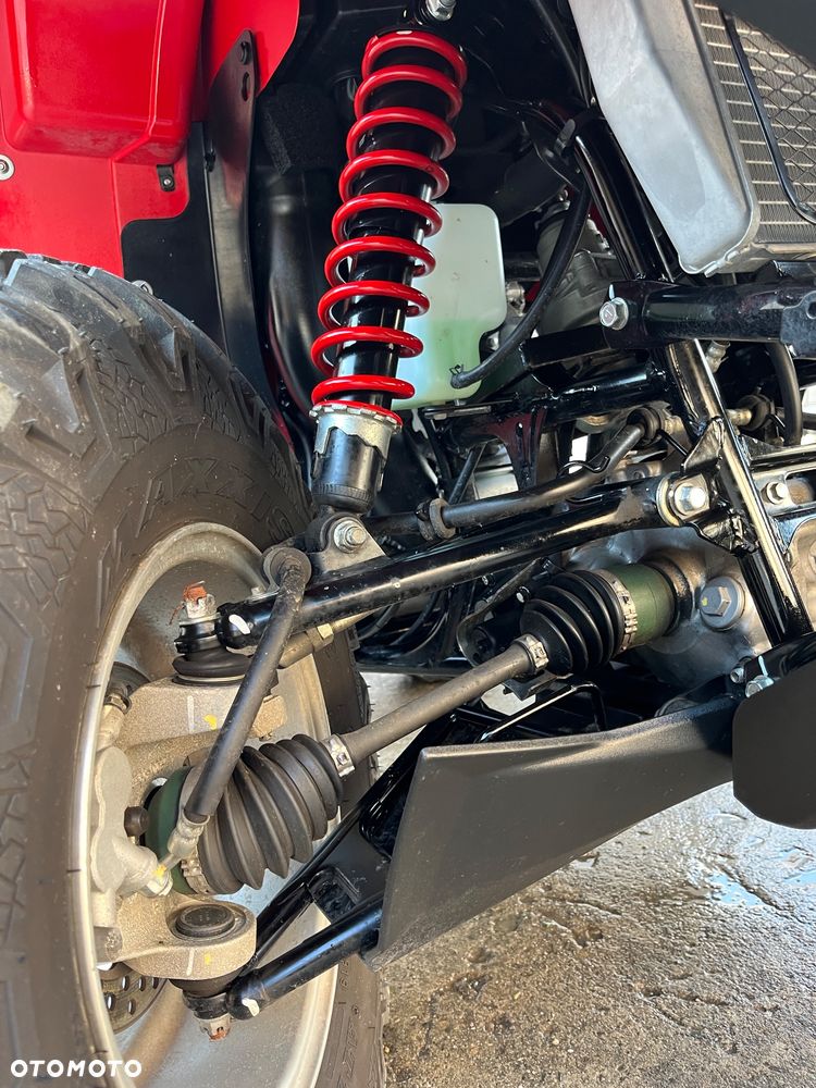 Kawasaki Brute Force - 23