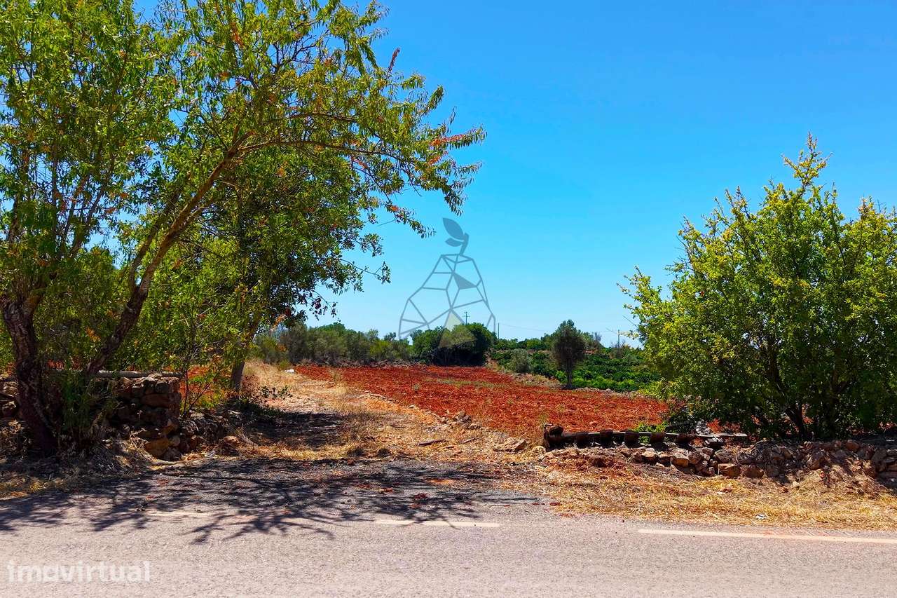 Terreno Rustico em Montes Grandes - Silves - Grande imagem: 4/16