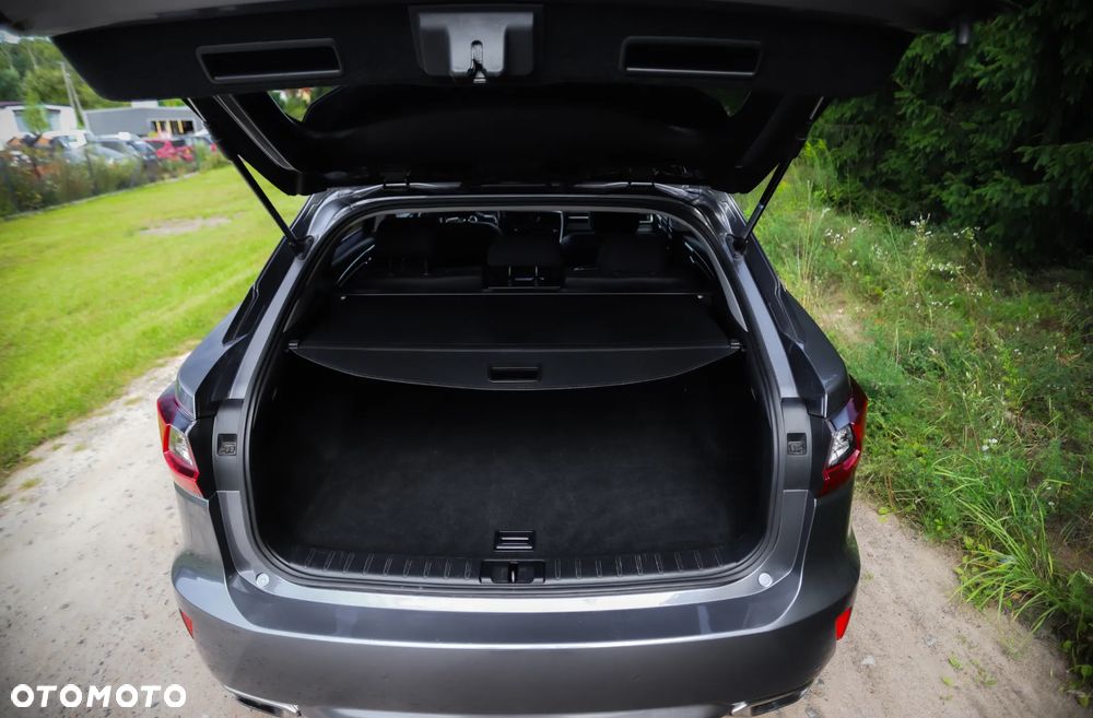 Lexus RX 200t / 300 Elegance - 14