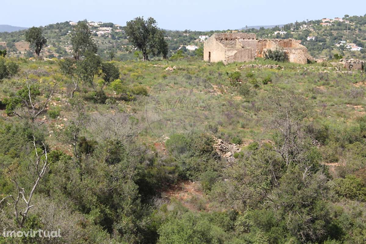 Quinta  para venda - Grande imagem: 2/12