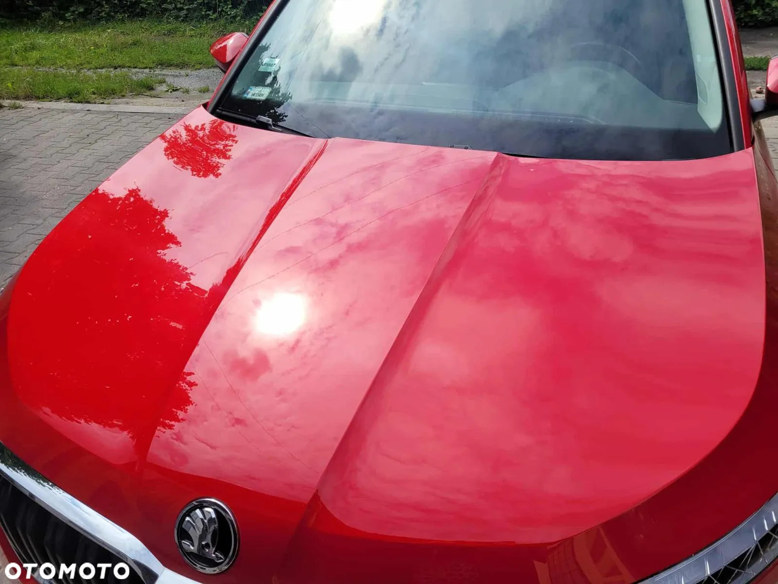 Skoda Kamiq 1.5 TSI Ambition DSG - 15