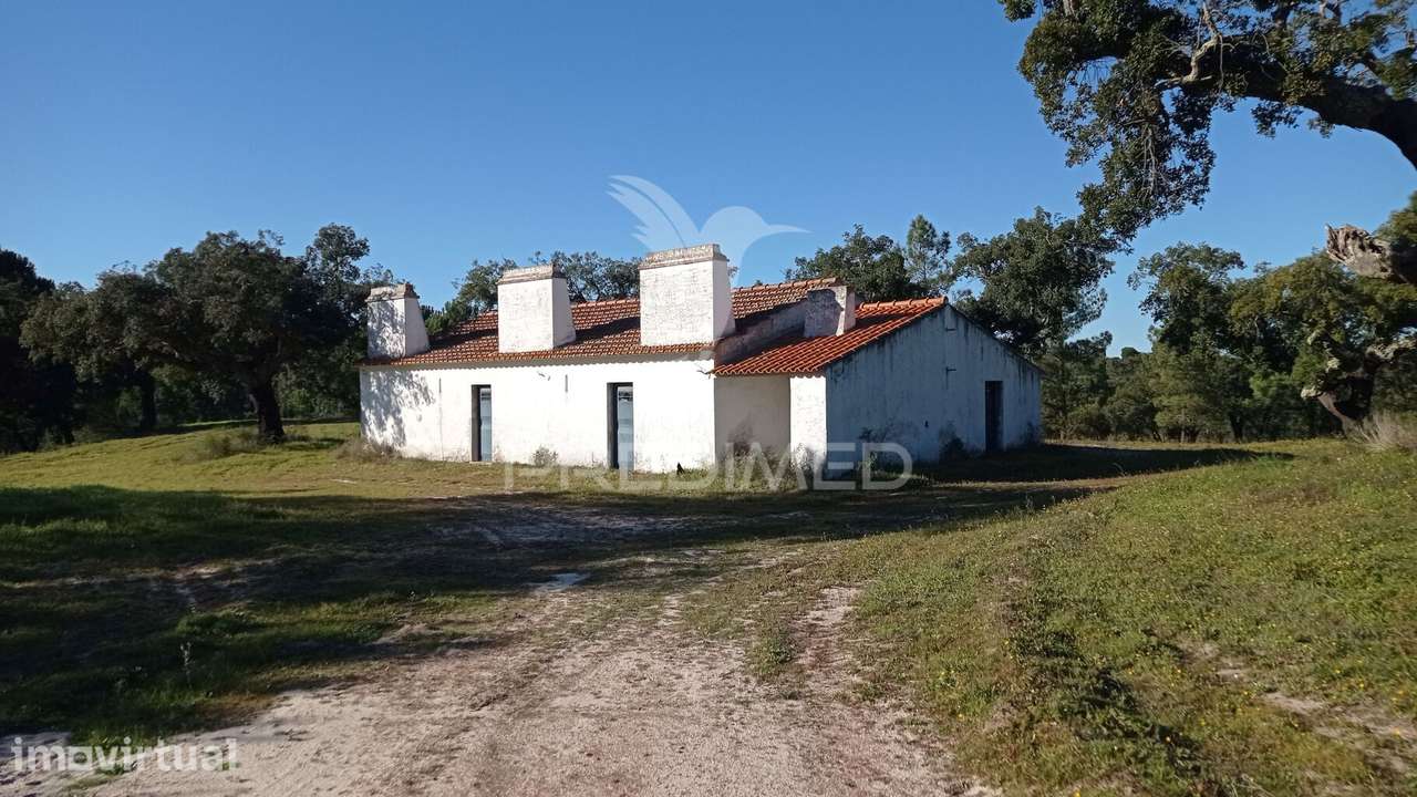 Conjunto de duas herdades 71,70 hectares, junto à vila de Mora. - Grande imagem: 2/34