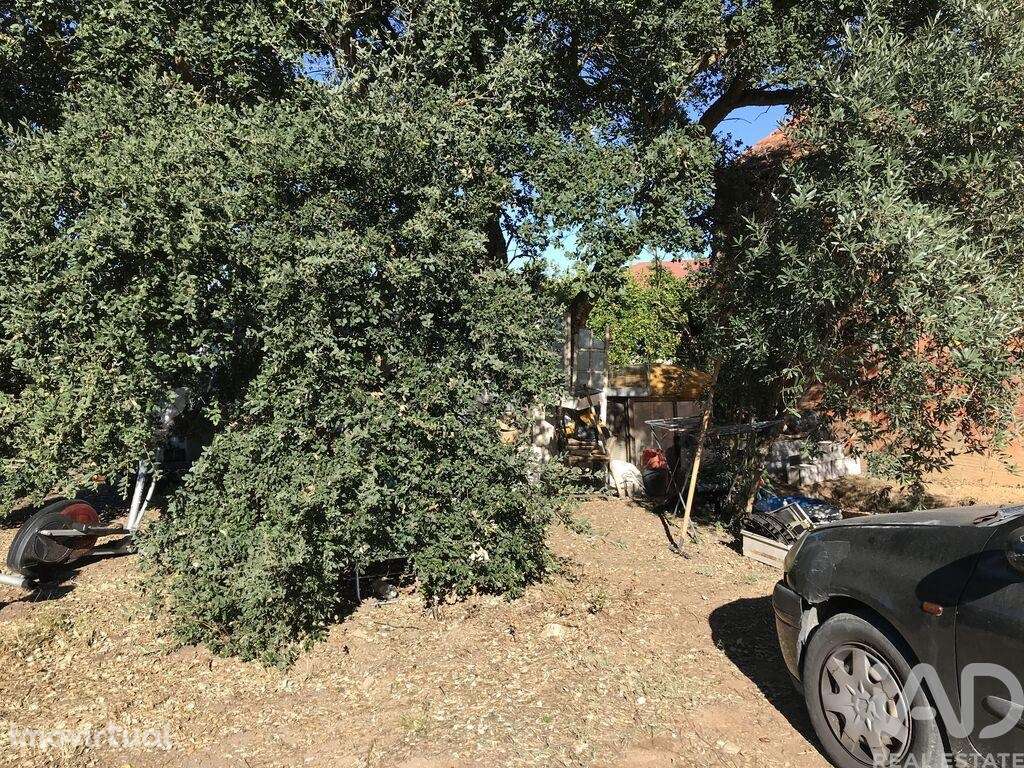 Terreno para construção em Rio de Couros e Casal dos Bernardos de 3446 - Grande imagem: 3/8