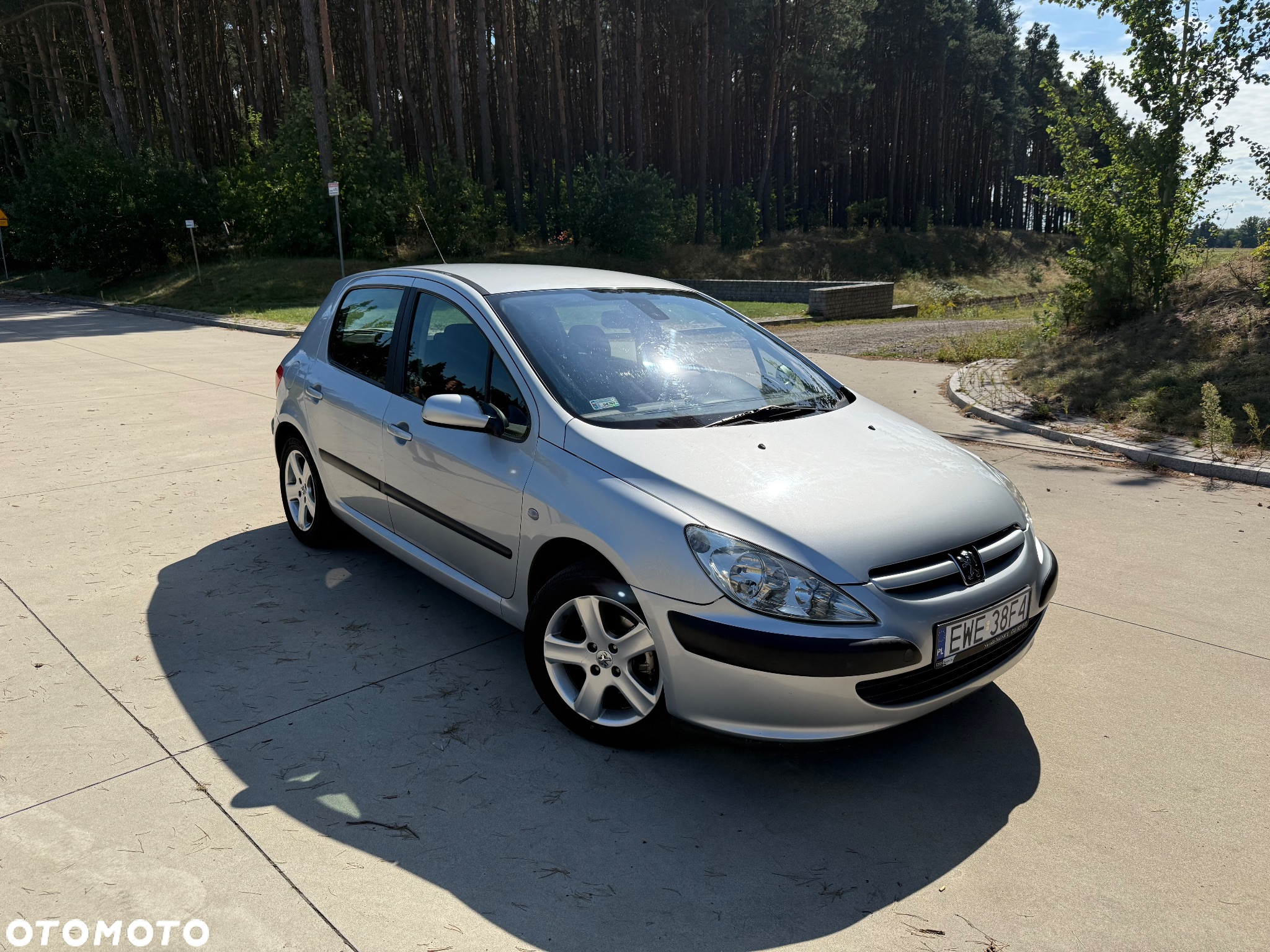 Peugeot 307 1.6 - 7