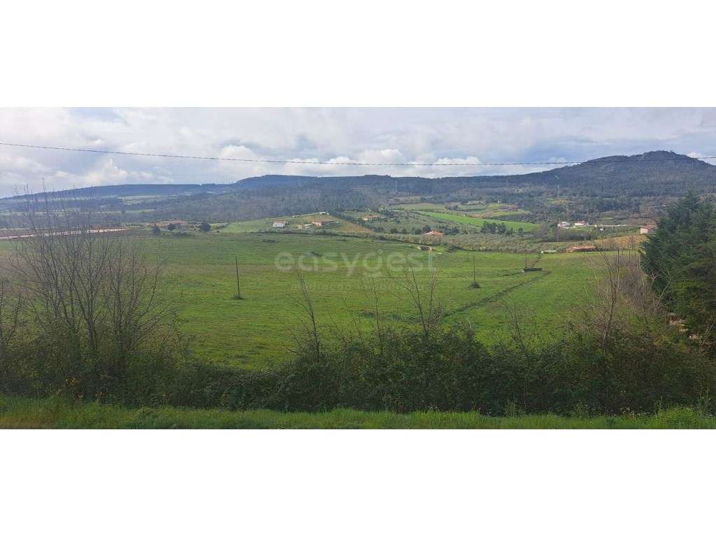 Excelente Lote para construção, com 450 M2, em Mogadouro - Grande imagem: 5/12